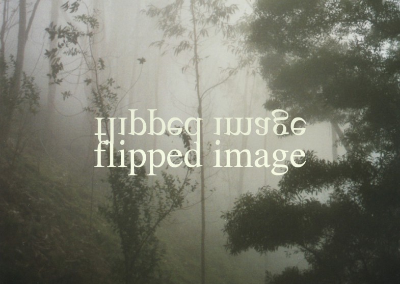 flipped image_Plattenpalast